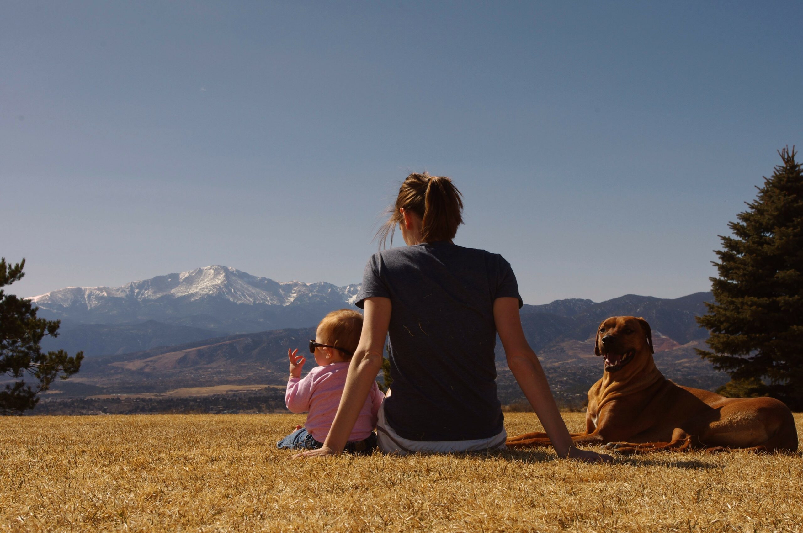 colorado speech therapy